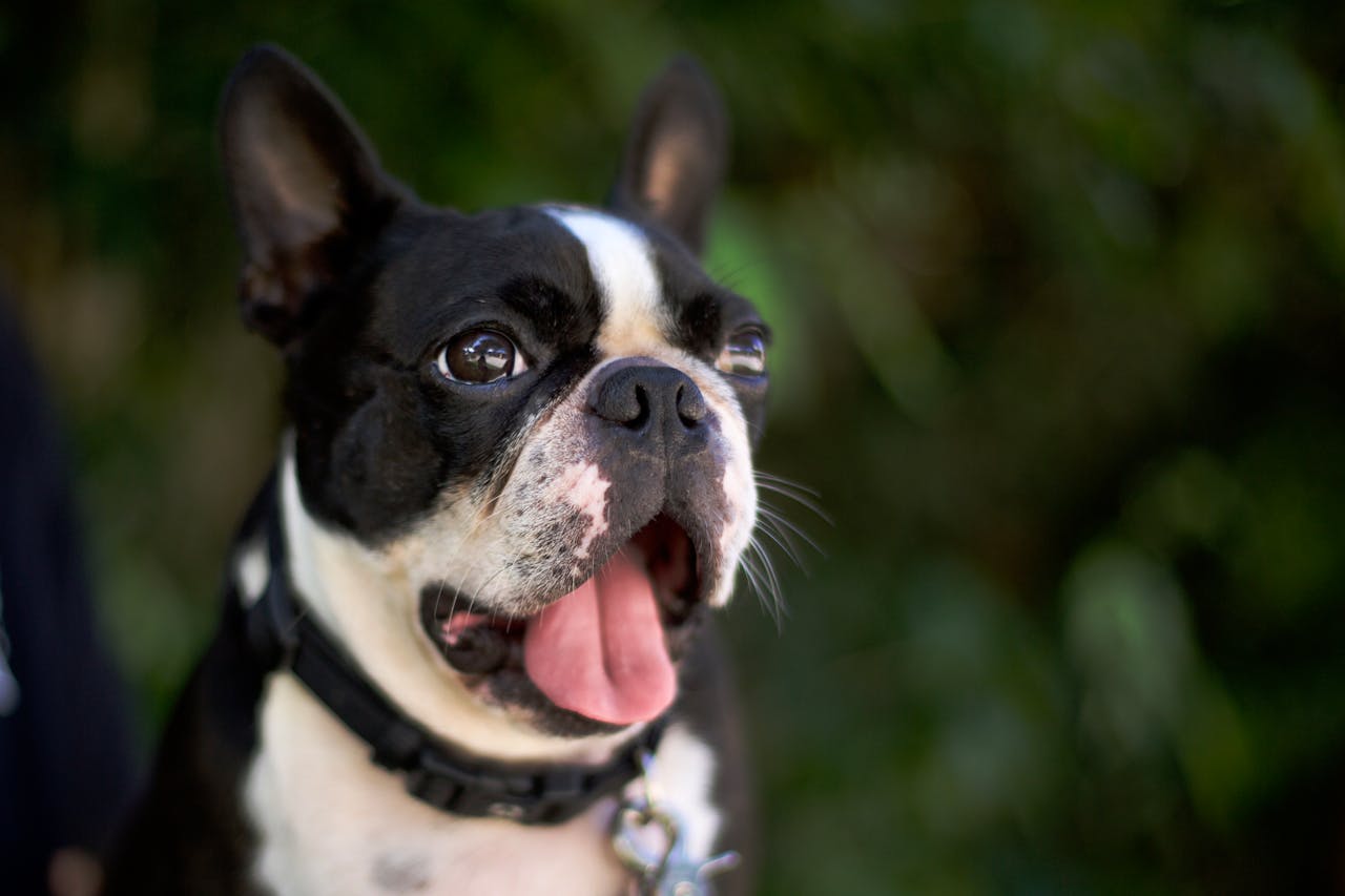 Mastering the First Impression: Your intriguing post title goes here